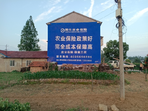 瑞金墙体广告为何受追捧？